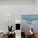 스테이몽 펜션 이미지