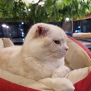 라미닥 | 포항 송도 카페 라미닥 방문 후기