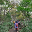 나무가 들려주는 환경이야기 이미지