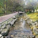 태수정비 | 경남 함양 가볼만한곳 함양천연기념물 데이트코스 상림공원