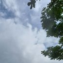 하늘정원1 이미지