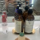 데일리앤스파 이미지