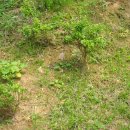 박달교 옆 이미지