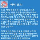 [심즈 4 플레이스토리] 04. 로사리오 돈의 과거 (5) 이미지