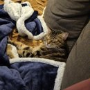 세움전기(주) | 🇨🇦 vanwest week 19