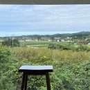 낮은정원 | 강릉 낮은정원 키즈 풀빌라 내돈내잠 2박 후기