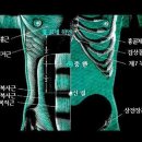 태극권 수련생이 알아두면 좋은 인체혈자리 이미지