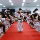 라이온태권도 이미지