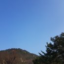 금강송휴게소매점