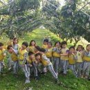 해밀태권도장 이미지