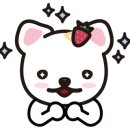 (주)하얀나라 이미지