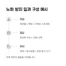 내 몸이 젊어지는 노화방지 스트레칭 네이버블로그