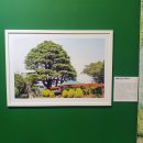 완월동157 이미지