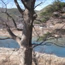 선암펜션민박 이미지