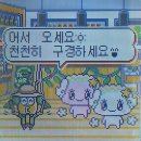 슬랑이 직구를 하다...2 - 후기편 (ft. 더베이, 폼푸샵, 키카멘)
