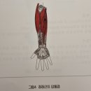 건국동 행정복지센터 이미지