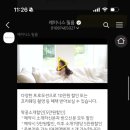 레미니스 네이버블로그