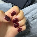 처연의 소리 | 네 겨울엔 벌써 백서향이 피었어 처연할 일 없이 무사한 해 보내자