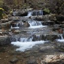 서울대공원 캠핑장 이미지