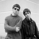 오아시스 이미지