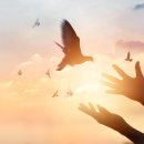 (주)브레인트레이닝센터 이미지