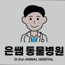 은쌤동물병원 네이버블로그