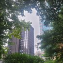 성치과의원 | 서울역 9번 출구 치과 연세 네이쳐 의원 임플란트 진료 체험기