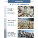 동광수산 이미지