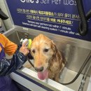 올리스24 두류공원점 이미지