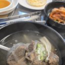 여행일번지 | 양양 현지인이 추천하는 해장 맛집! 일번지감자탕 방문 후기 🍲