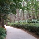 자산솔밭공원 이미지