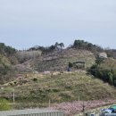 두낫디스터브 반곡지 이미지