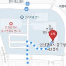 조양메디컬 | 영종도 종합 미용 면허증 발급 위치, 발급 방법, 구비 서류, 수수료