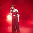 거미 카카오 검색결과