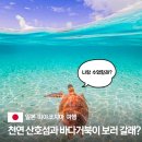 산호기원 | 일본 미야코지마 바다거북이 스팟 및 가족 커플 바다별 맞춤 여행지 BEST 5