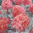 신흥장식 이미지