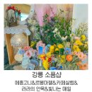 5843 | [강릉 소품샵 투어]메종고니,르봉마젤,카페살림,라라의안목,빛나는매일 후기 / 비교&amp;추천
