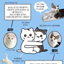 나비야 이미지
