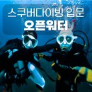 스쿠버다이빙 자격증 비용 총정리 :오픈워터부터 다이브마스터까지 직접 다녀온 후기