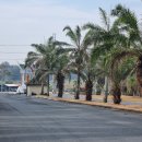 성숙농장 | 파타야 가성비 골프장.파타비아 센추리 골프클럽 후기