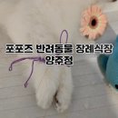 포포즈 반려동물장례식장 양주점 이미지