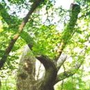 종로-종로-종로-종-314 이미지