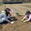 친환경우리농장 이미지