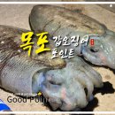목포 봄 갑오징어 낚시 포인트 5월 조황