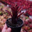 공동농장 이미지