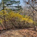 명일2동주민센터 이미지