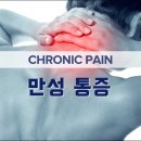 만성 통증 티스토리