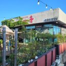 남주중학교 | 서귀포고기집 아솥 캠핑느낌으로 서귀포분위기좋은식당 아이들과 방문한 솔직후기