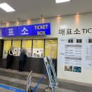 호반으로 여행 | 제천 가볼만한곳 청풍호반케이블카 이용 후기