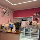 사가정PC방 | 사가정 맛집 디저트 찾는다면? 지니양과점 두쫀쿠 &amp; 도시락케이크 솔직후기 (중랑구 맛집 디저트)